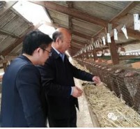 中国皮革协会赴辽宁调研,力促毛皮行业健康发展
