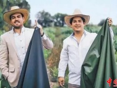 墨西哥发明家研发“仙人掌皮革”