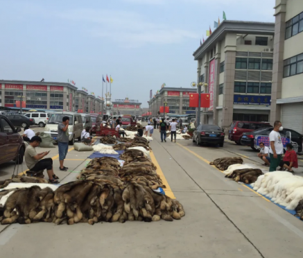 6月29日尚村京南市场开始交易