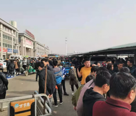 尚村市场水貂皮价格稳定，销售加快2021.3.31