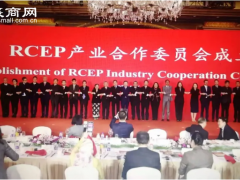 2021中国—东盟迎新春增合作系列活动在北京举行——RCEP产业合作委员会成立