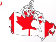 加拿大决定对来自中国和越南皮革家具征收高额关税