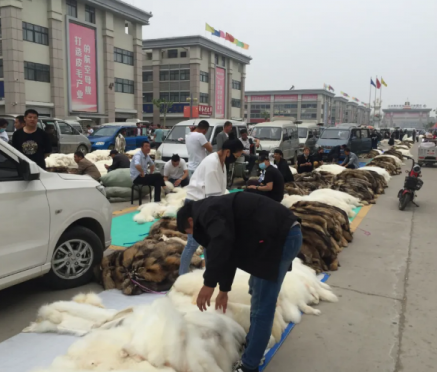 5月20日尚村毛皮市场大集行情