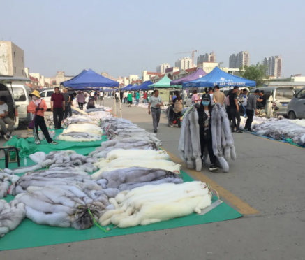 5月22日尚村毛皮市场小集行情概述