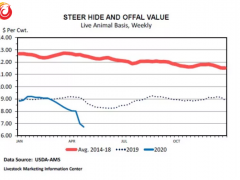 目前牛皮价值在养殖牛总价值中的比重跌至历史最低